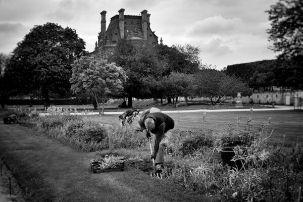 The Groundskeeper